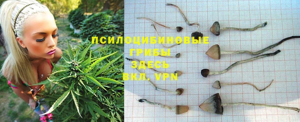 мескалин Няндома